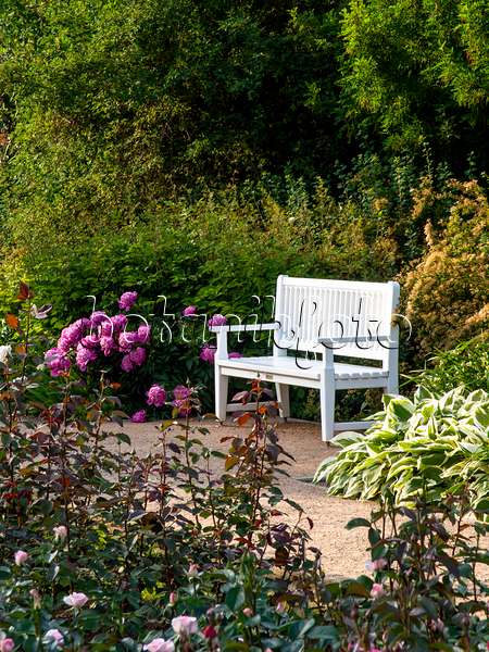 461020 - Jardin de plantes vivaces avec un banc de jardin