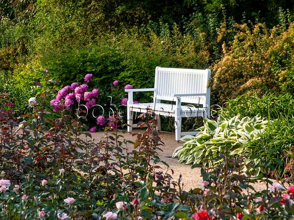 461021 - Jardin de plantes vivaces avec un banc de jardin