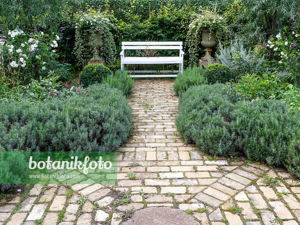 463117 - Jardin de plantes vivaces avec un banc de jardin