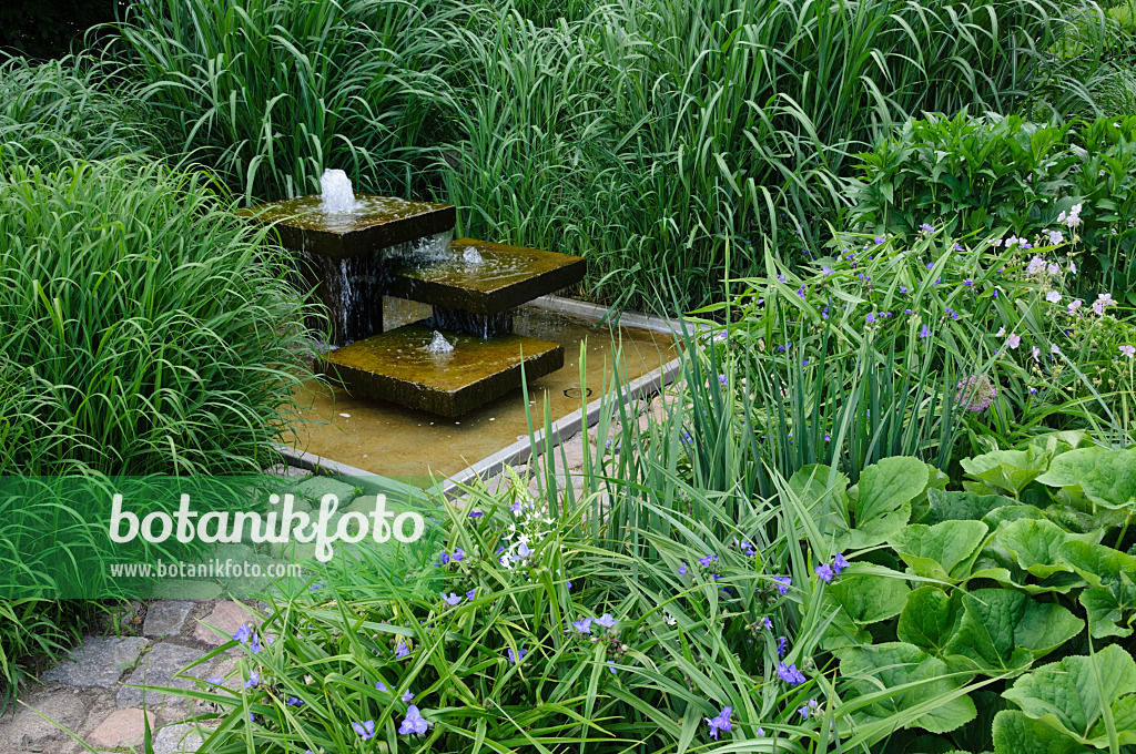 472383 - Jardin de plantes vivaces avec une fontaine