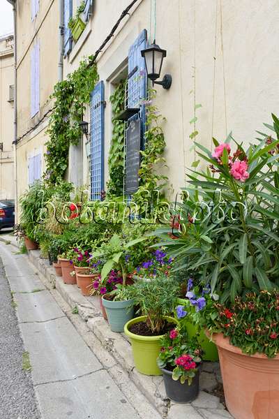 557118 - Jardin de pots, Arles, France