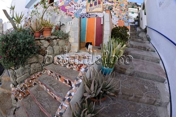 564117 - Jardin de pots dans une ruelle, Puerto de Mogán, Gran Canaria, Espagne