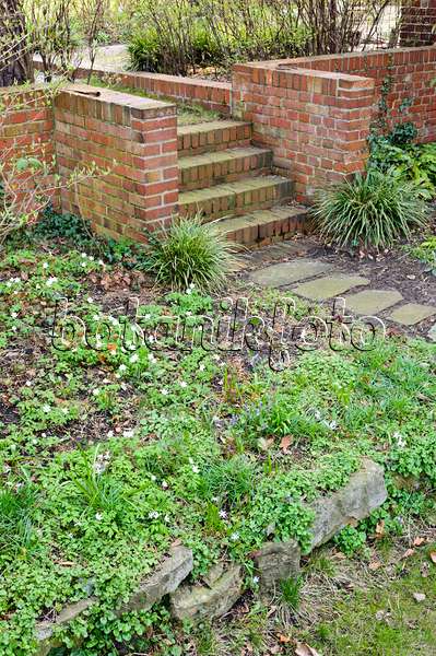471050 - Jardin de printemps avec escalier en briques