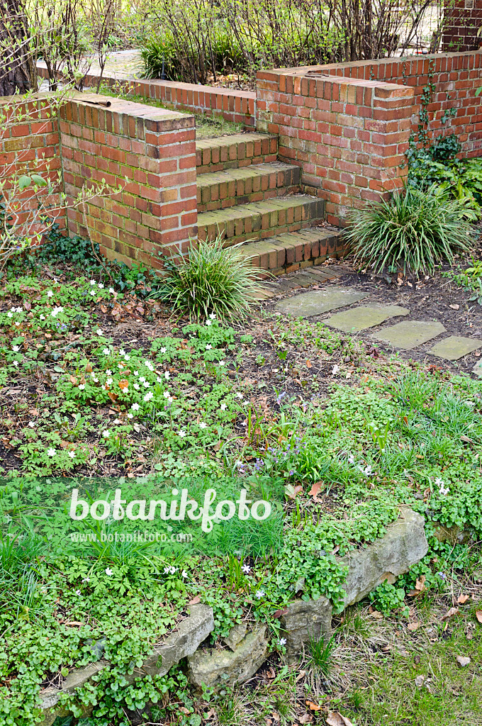 471050 - Jardin de printemps avec escalier en briques