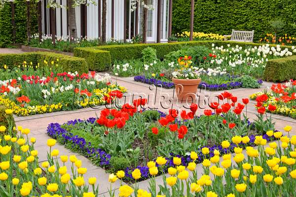 471192 - Jardin des tulipes, Britzer Garten, Berlin, Allemagne