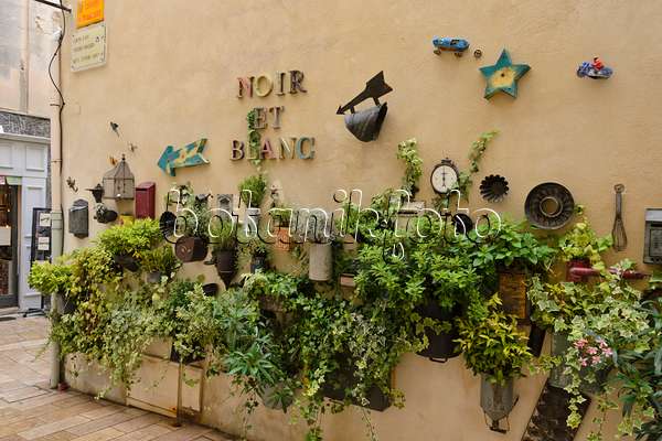 557151 - Jardins de pots et décoration sur un mur de maison, Saint-Rémy-de-Provence, Provence, France