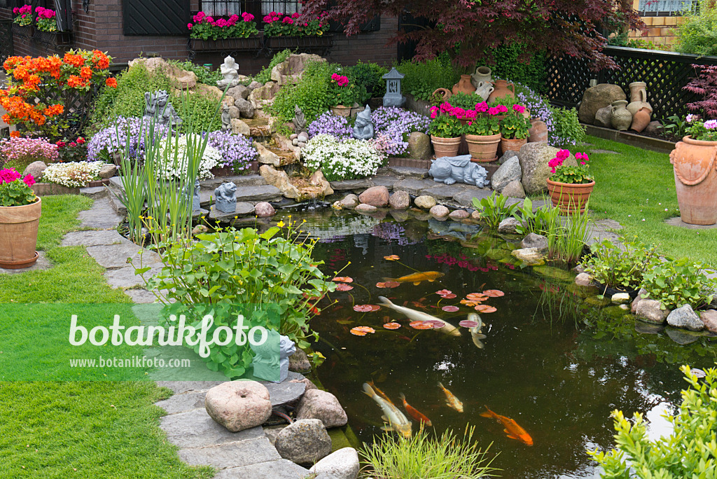 532020 - Koi pond with rhododendrons (Rhododendron), garden phlox (Phlox paniculata) and pelargoniums (Pelargonium)