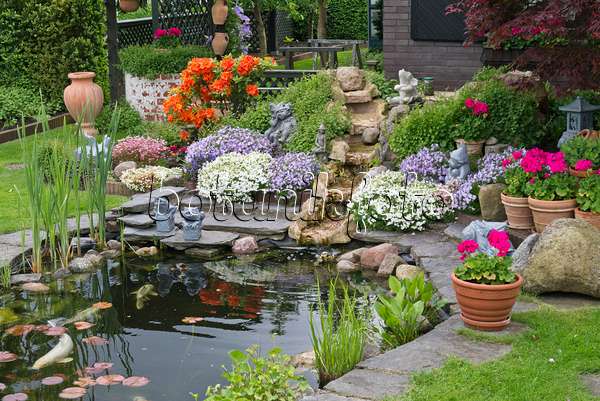 532021 - Koi pond with rhododendrons (Rhododendron), garden phlox (Phlox paniculata) and pelargoniums (Pelargonium)