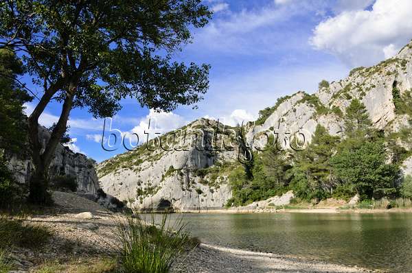 557123 - Lac de Peiroou, Alpilles, Provence, France