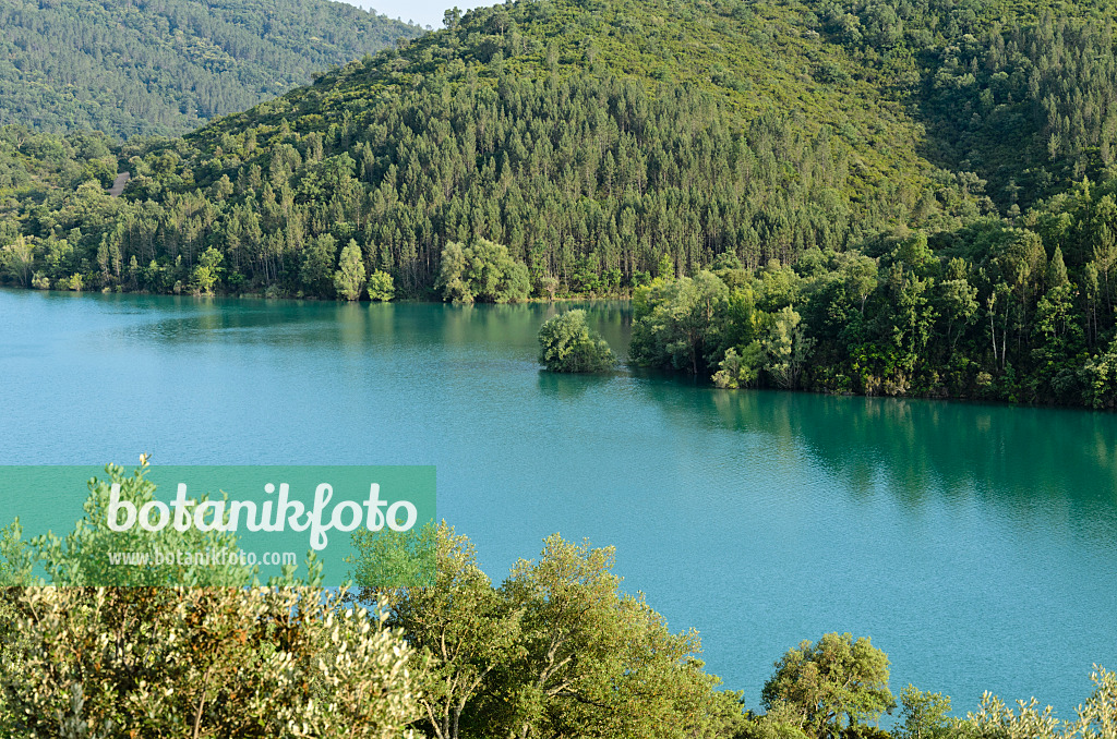 569001 - Lac de Saint-Cassien, Provence, France