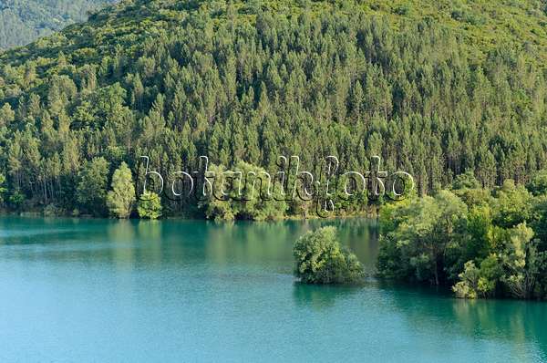 569002 - Lac de Saint-Cassien, Provence, France