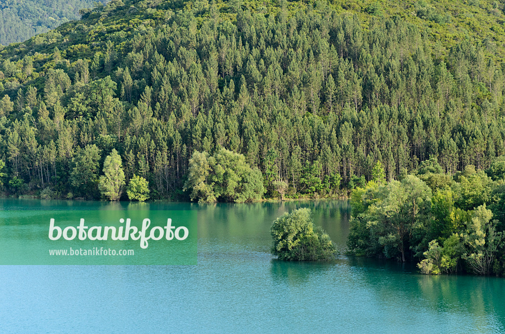 569002 - Lac de Saint-Cassien, Provence, France