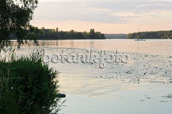 523280 - Lake in diffuse evening light and a sailboat with calm, Jungfernsee, Brandenburg, Germany