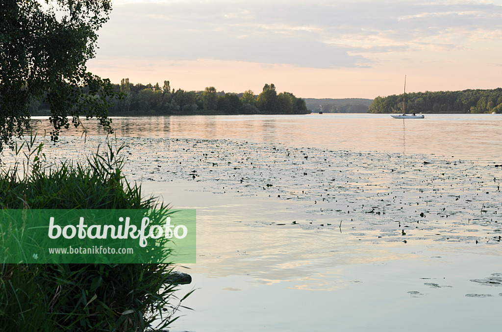 523280 - Lake in diffuse evening light and a sailboat with calm, Jungfernsee, Brandenburg, Germany