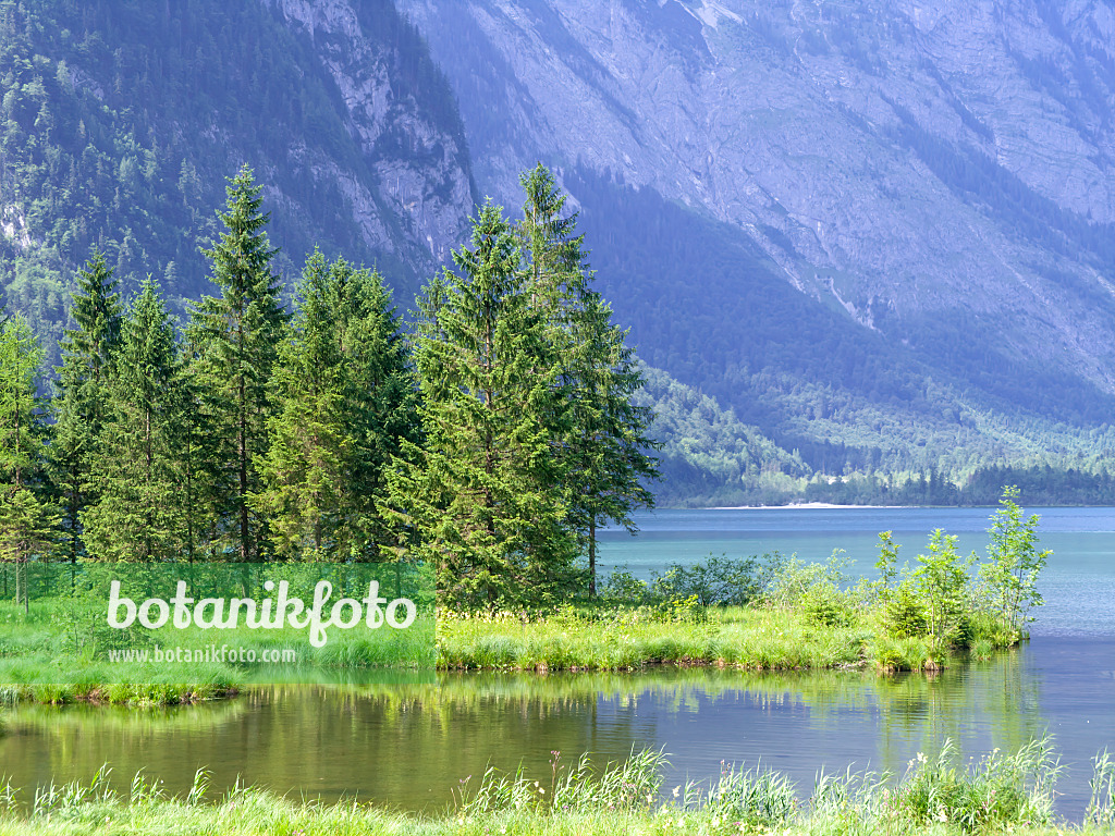 439152 - Lake Königssee, Berchtesgaden National Park, Germany