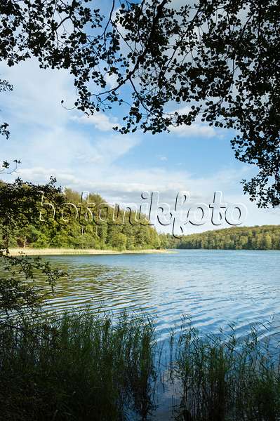 512048 - Lake Liepnitzsee, Brandenburg, Germany