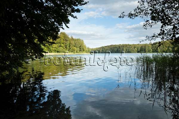 512049 - Lake Liepnitzsee, Brandenburg, Germany