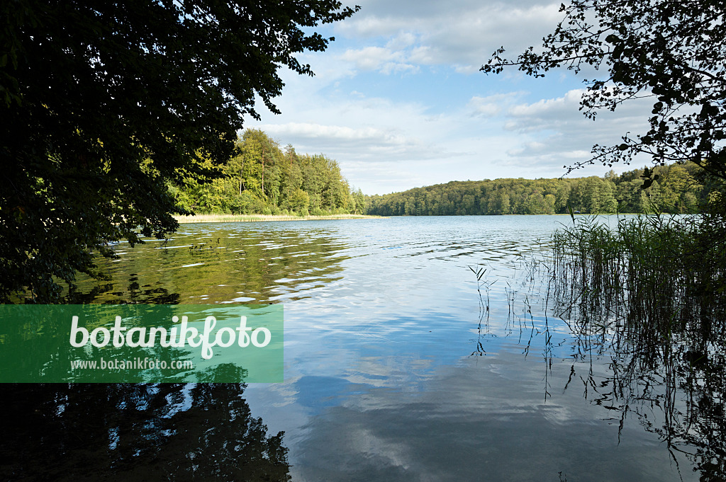 512049 - Lake Liepnitzsee, Brandenburg, Germany