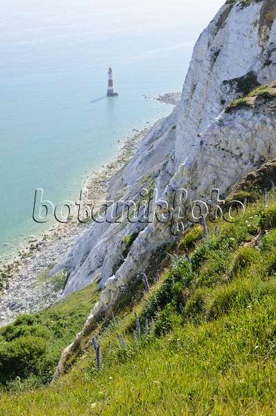 533365 - Lighthouse and chalk cliff, Beachy Head, South Downs National Park, Great Britain