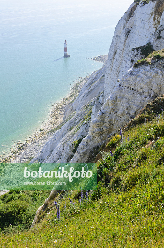 533365 - Lighthouse and chalk cliff, Beachy Head, South Downs National Park, Great Britain