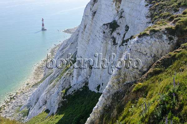 533366 - Lighthouse and chalk cliff, Beachy Head, South Downs National Park, Great Britain
