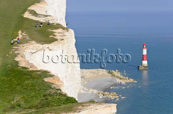 533369 - Lighthouse and chalk cliff, Beachy Head, South Downs National Park, Great Britain