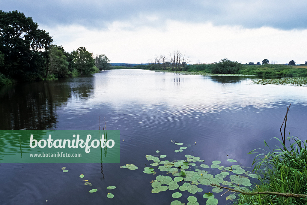 367010 - Lower Oder Valley National Park, Germany