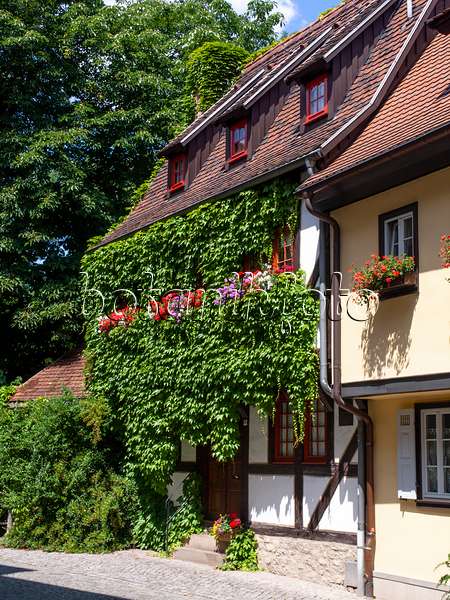 462015 - Maison à colombages, Erfurt, Allemagne