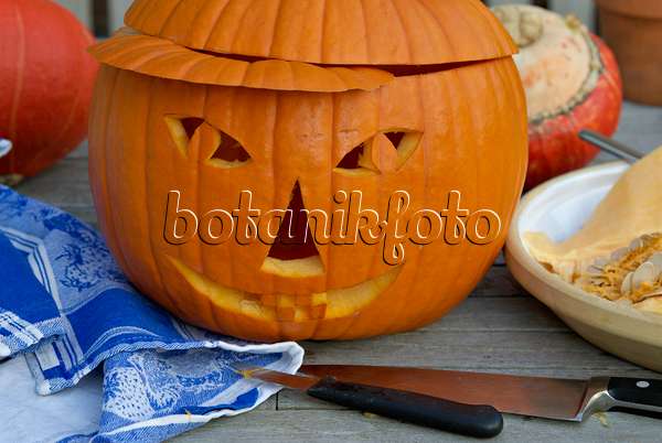 460035 - Making a Halloween pumpkin (7)