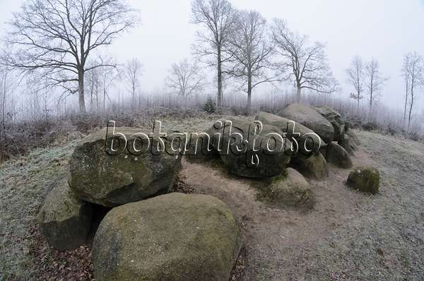 563023 - Megalithic tomb, Diever, Netherlands