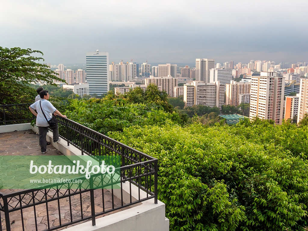 411080 - Mount Faber Park, Singapour