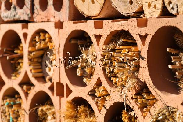 488120 - Nesting aid for insects made of large-hole bricks, filled with hollow stalks of plants