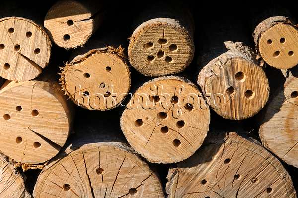 488121 - Nesting aid for insects made of tree trunks