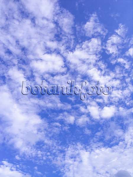 451059 - Nuages d'altocumulus sur fond de ciel bleu profond