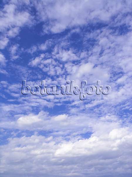451060 - Nuages d'altocumulus sur fond de ciel bleu profond