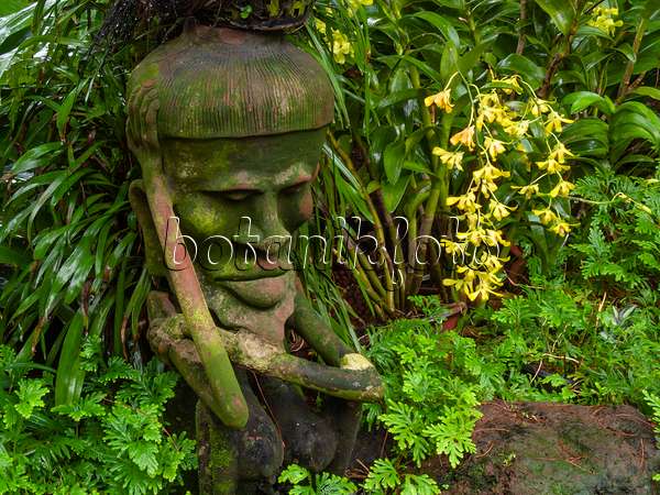 411191 - Orchid garden with sculpture, National Orchid Garden, Singapore