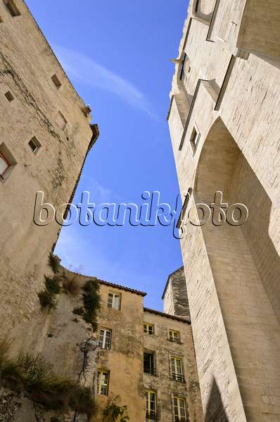 557215 - Palais des Papes, Avignon, Provence, France
