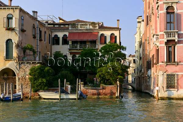568073 - Palazzo avec un jardin au Grand Canal, Venise, Italie