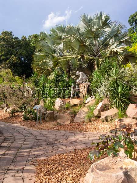 411058 - Palmiers avec sculptures en pierre dans un jardin de rocaille, jardin botanique, Singapour