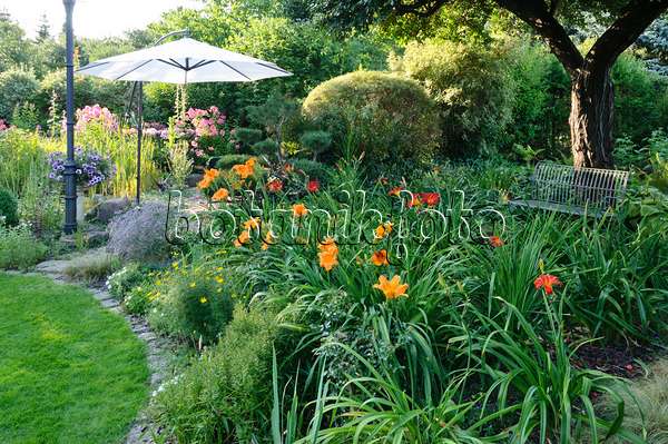 474456 - Perennial bed with day lilies