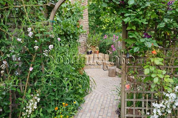 473272 - Perennial bed with trellis in a backyard garden