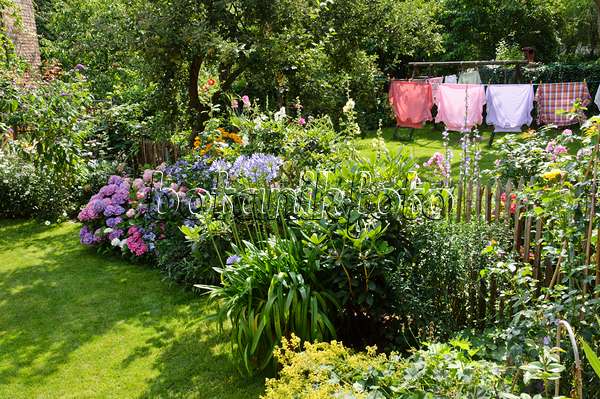 474357 - Perennial beds and washing line in a backyard garden