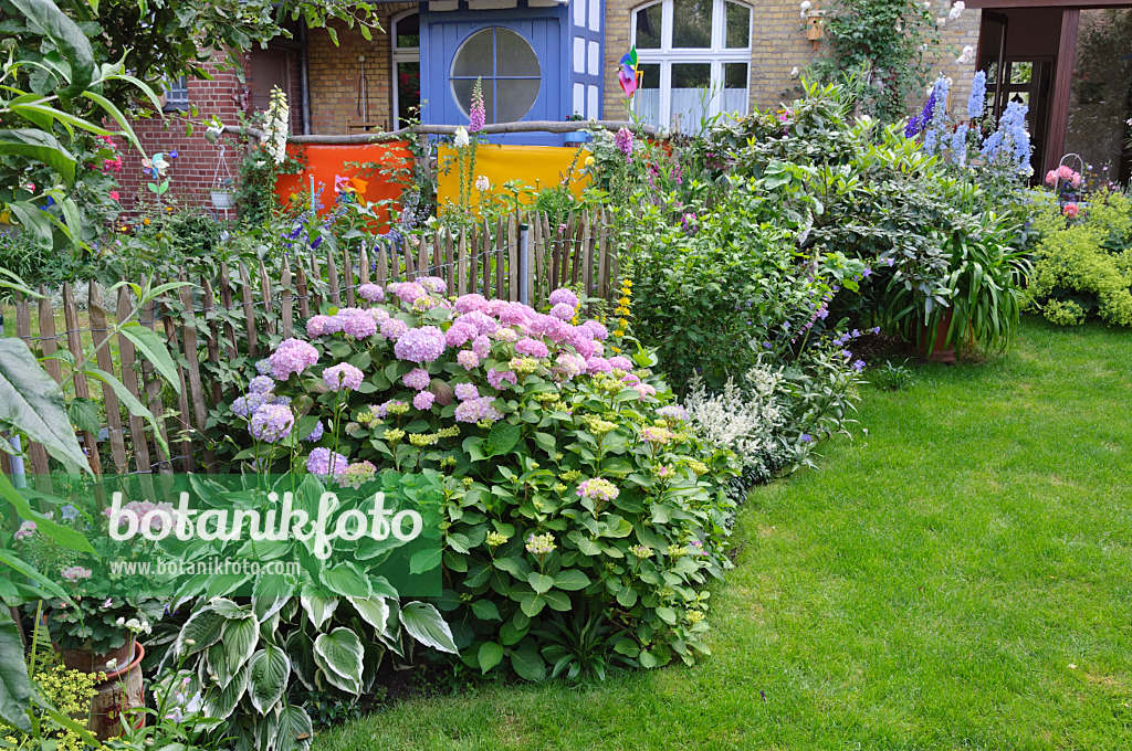 473237 - Perennial border in a backyard garden