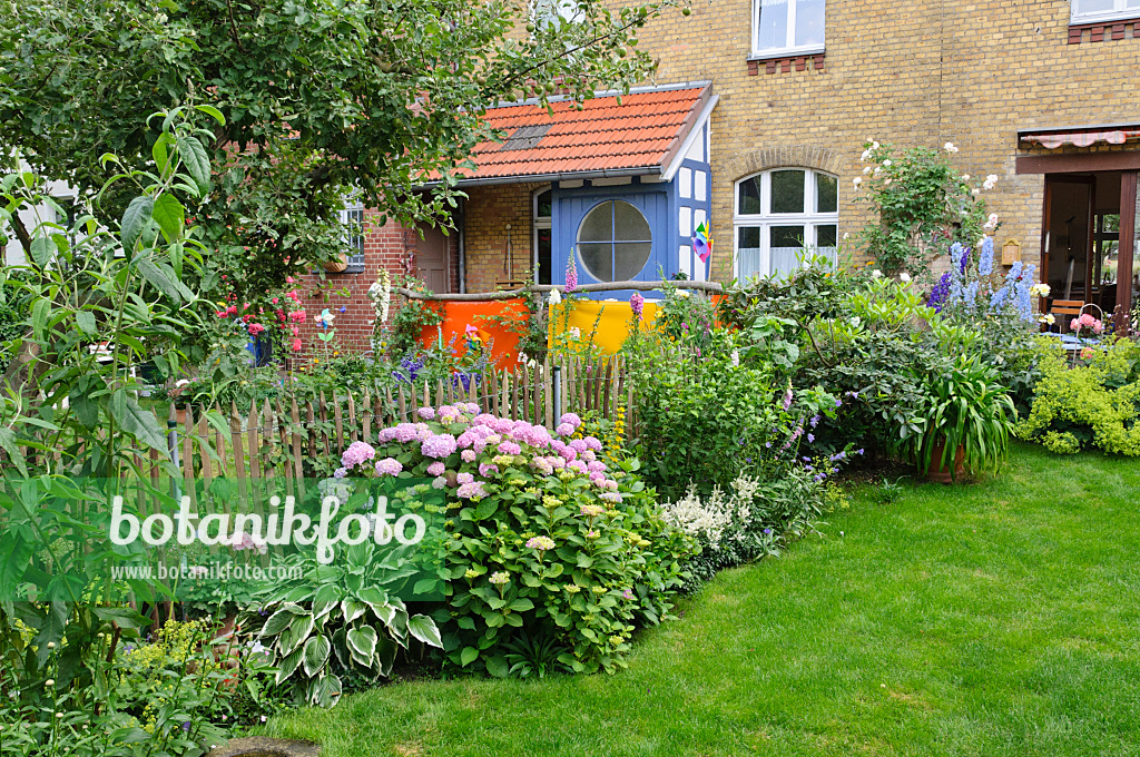 473276 - Perennial border in a backyard garden