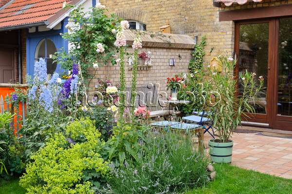 473262 - Perennial border and terrace in a backyard garden