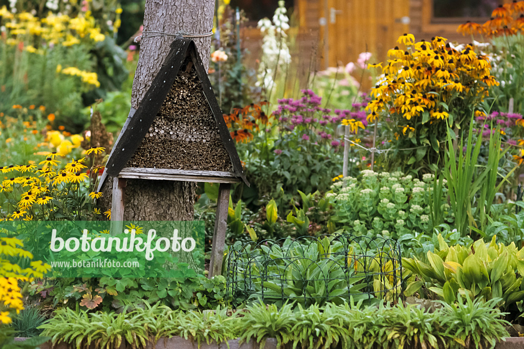 432014 - Perennial border with nesting aid for insects