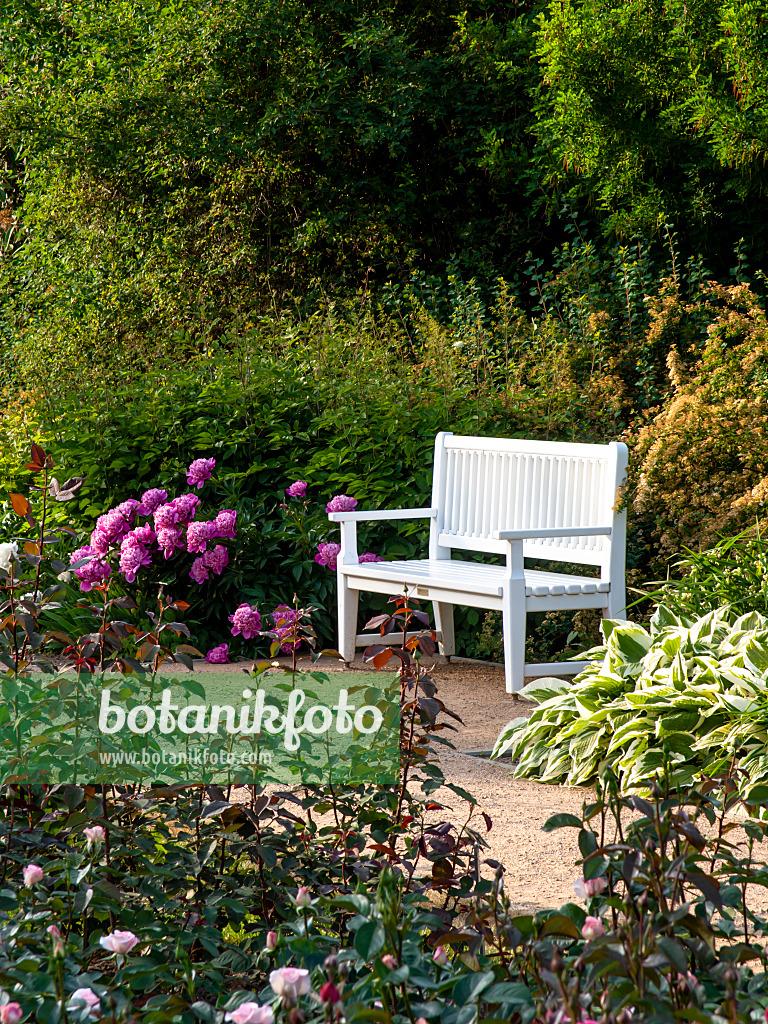 461020 - Perennial garden with bench