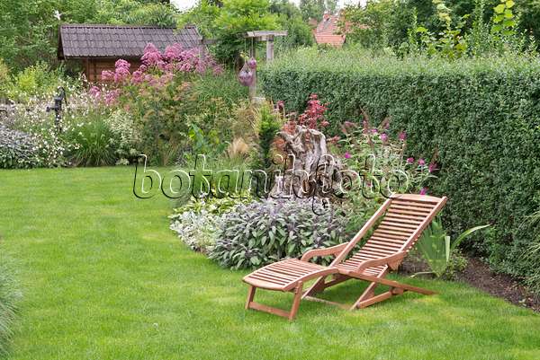 573064 - Perennial garden with deck chair