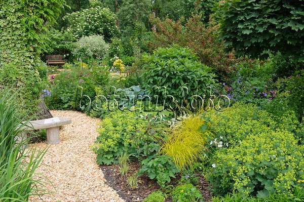 473110 - Perennial garden with seating area