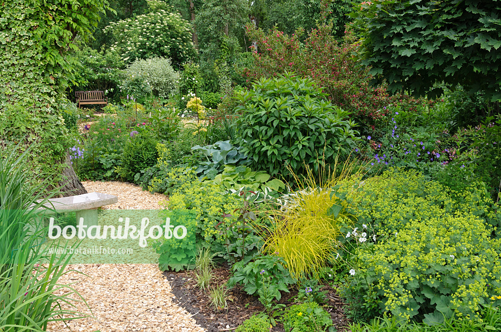 473110 - Perennial garden with seating area